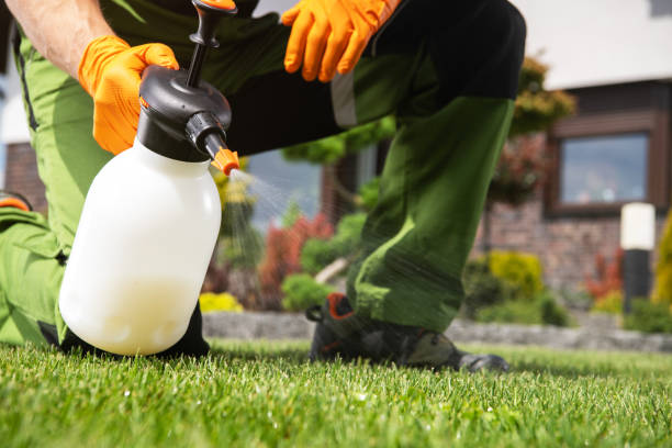 Best Pest Control Near Me  in Twin Lakes, VA